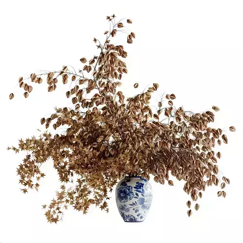 Dried bulb fruit bouquet inserted into celadon ceramic pot  3D model