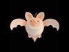 Apple Bat Low-poly 3D model_1