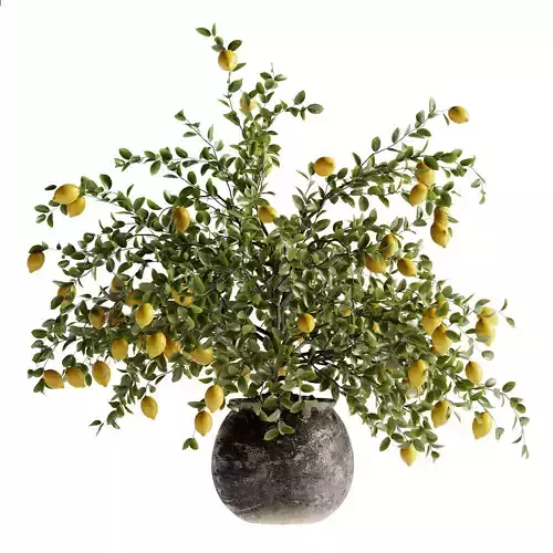indoor bonsai plant 82  3D model