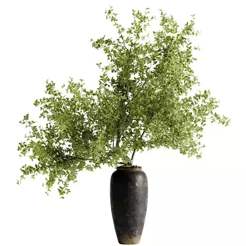 Indoor Bonsai Plants 83  3D model