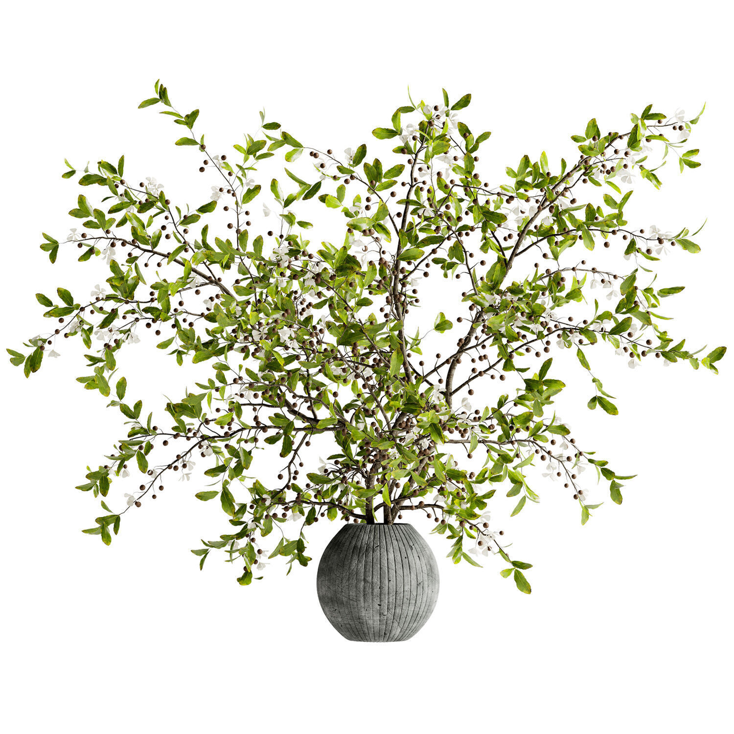 Bouquet of twigs in a terracotta pot 22  3D model_1