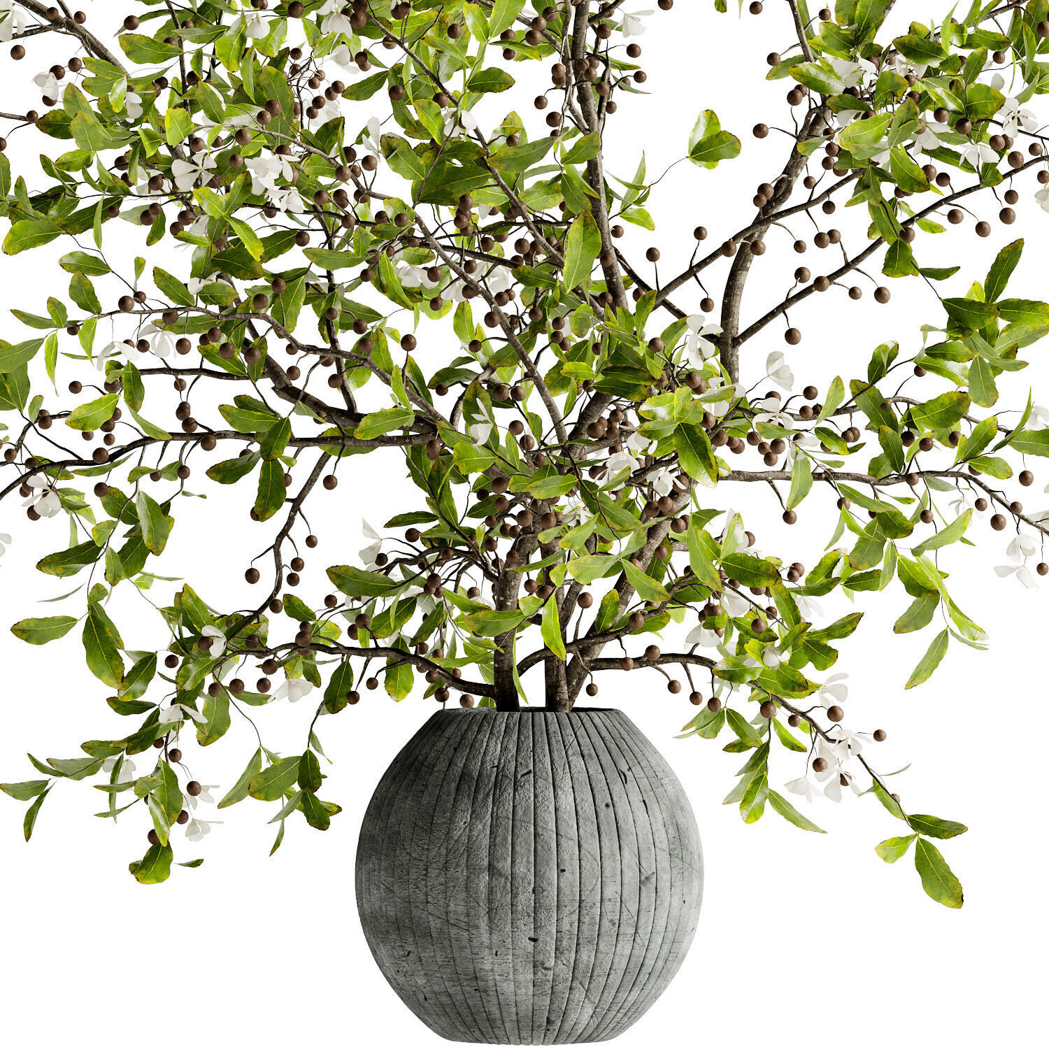 Bouquet of twigs in a terracotta pot 22  3D model_2