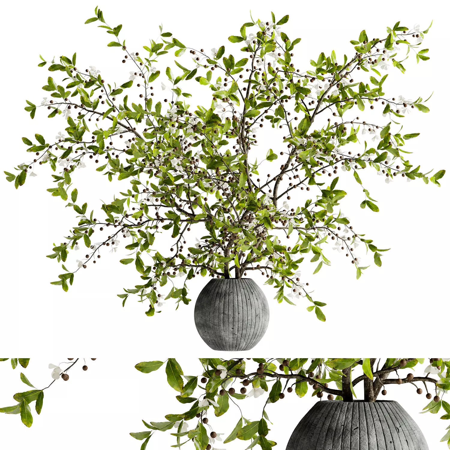 Bouquet of twigs in a terracotta pot 22  3D model_0