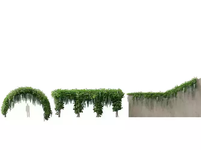 Highpoly LowPoly - Strongylodon macrobotrys - jade vine