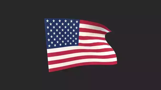 USA Flag  Game Ready Rigged and Animated  Low-poly 3D model