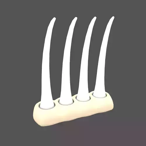 Hair Follicle Macro Icon v1 003 Low-poly 3D model