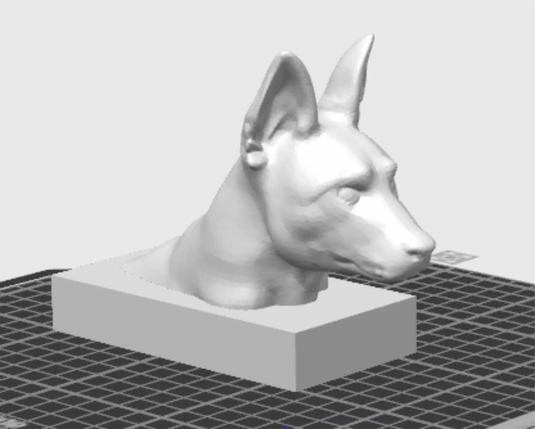 Belgian Shepherd Malinois Bust 3D print model
