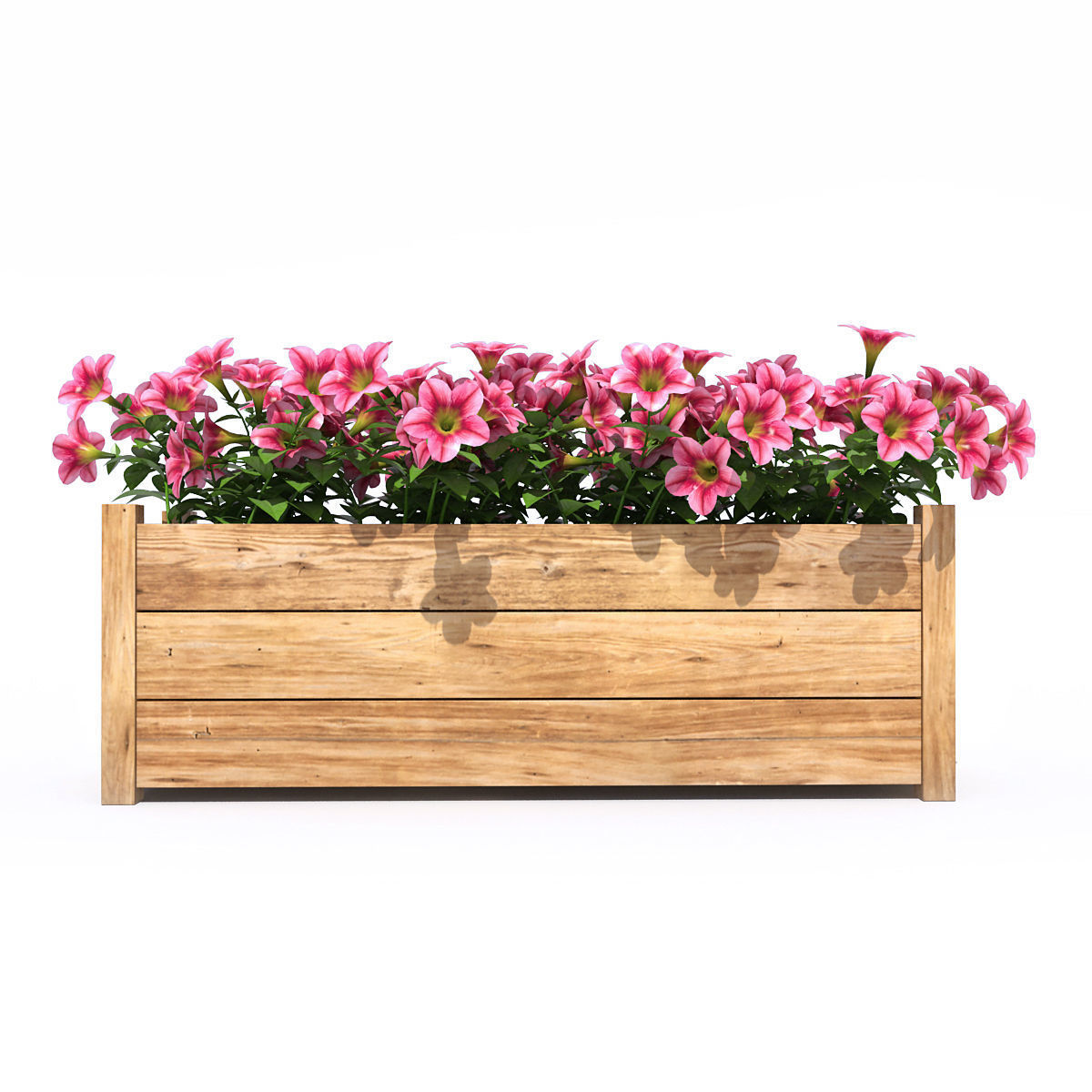 Petunia wooden planter with flowers 3D model_1