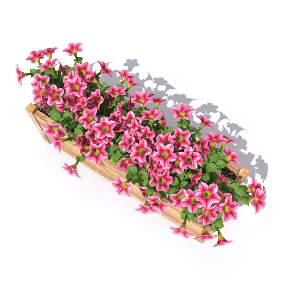 Petunia wooden planter with flowers 3D model_4