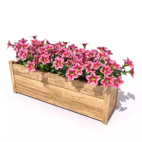 Petunia wooden planter with flowers