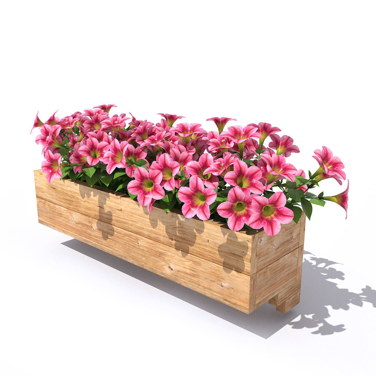 Petunia wooden planter with flowers 3D model_2