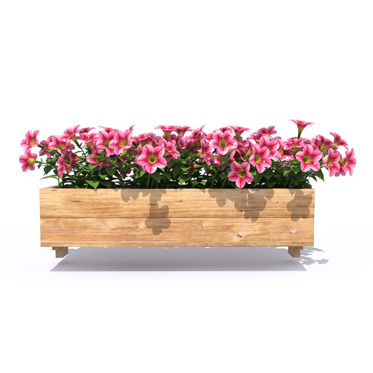 Petunia wooden planter with flowers 3D model_3