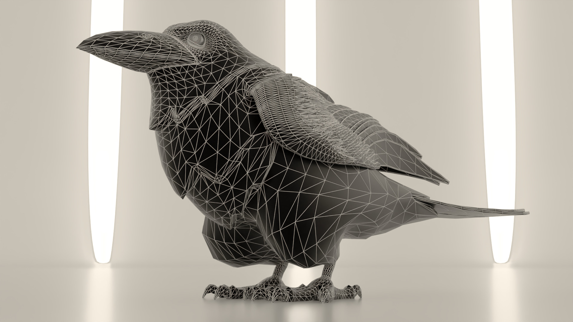 Bird Crow 3D model_4