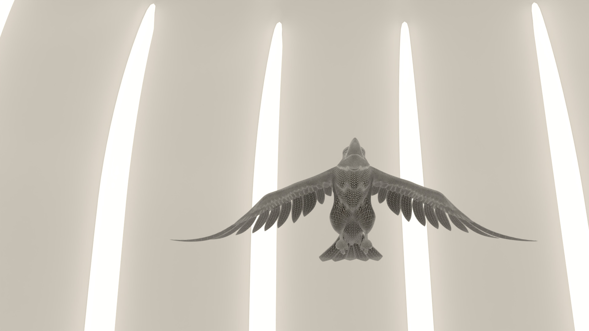 Bird Crow 3D model_19