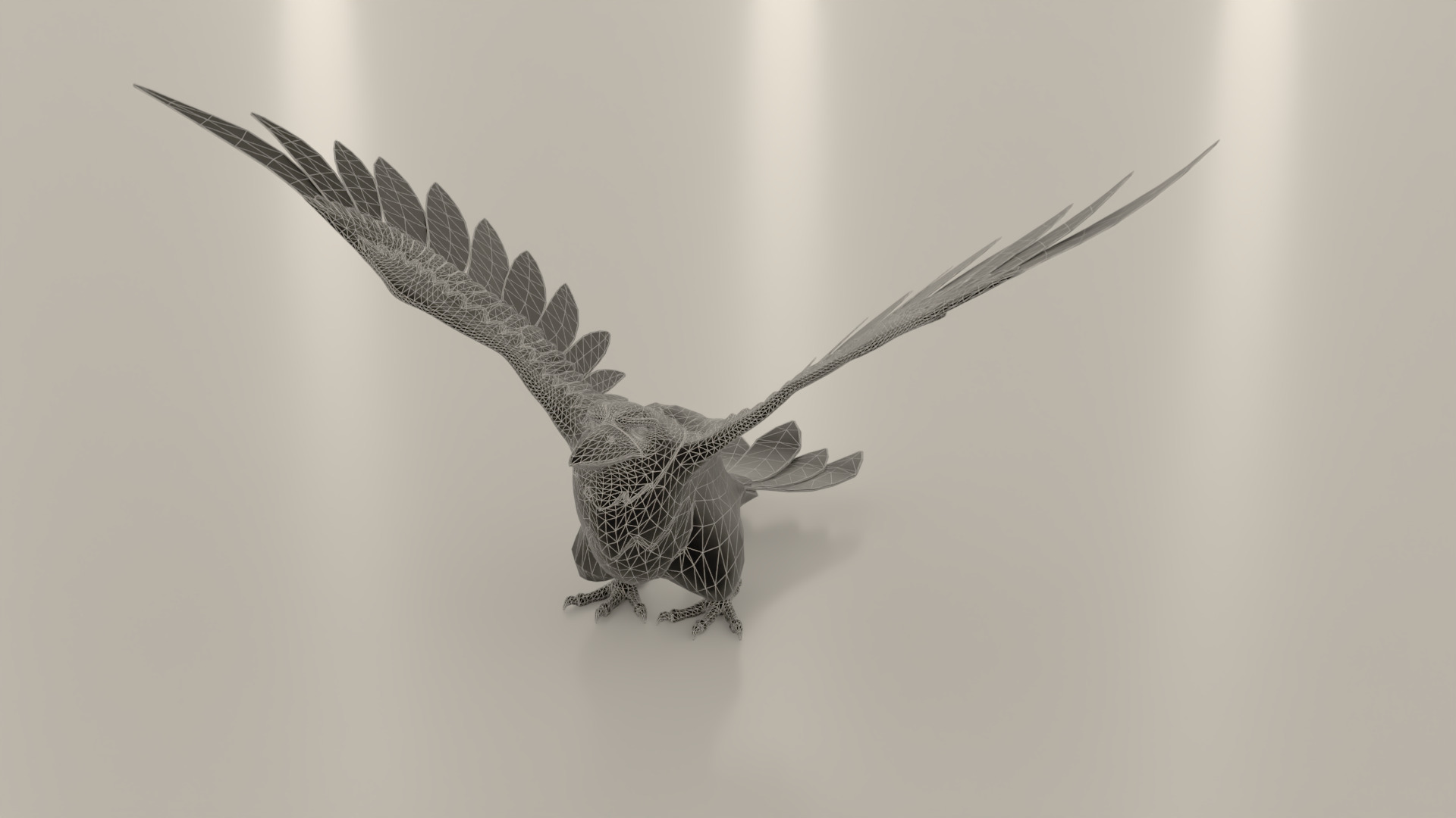 Bird Crow 3D model_12