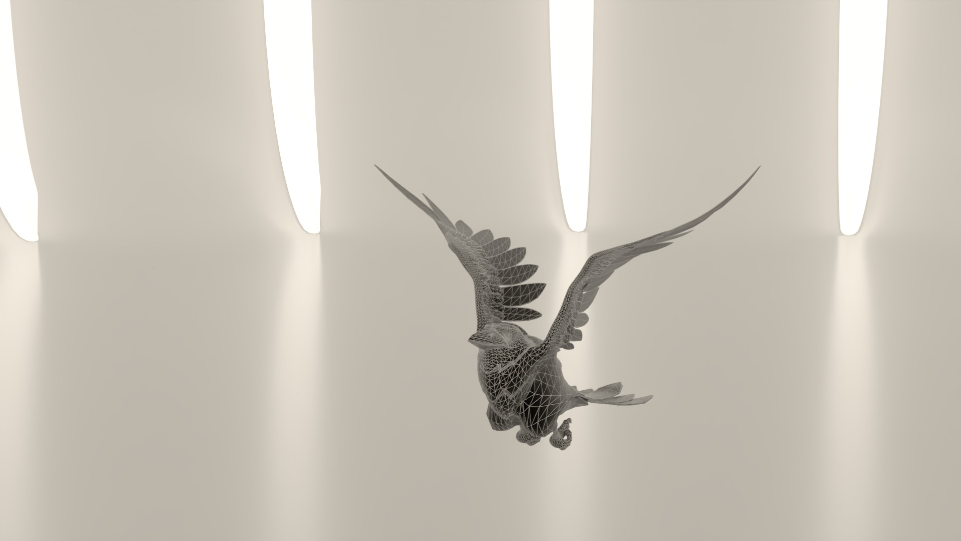 Bird Crow 3D model_16