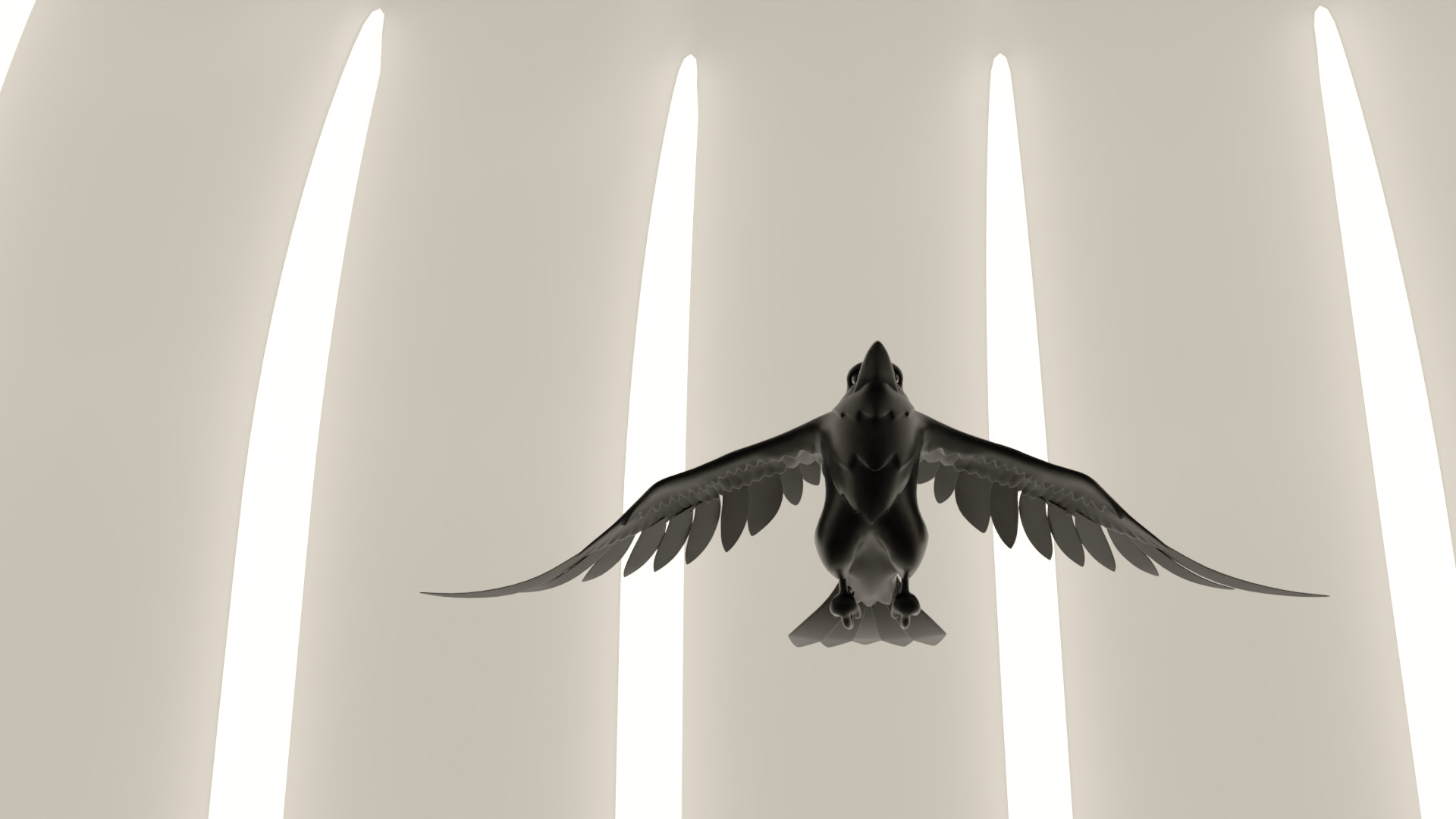 Bird Crow 3D model_17