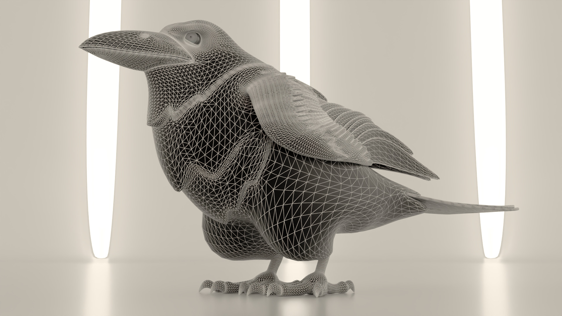 Bird Crow 3D model_3