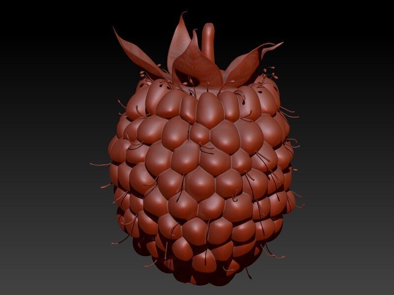 Raspberry Grape Fruit Charm Pendant 3D print model_12