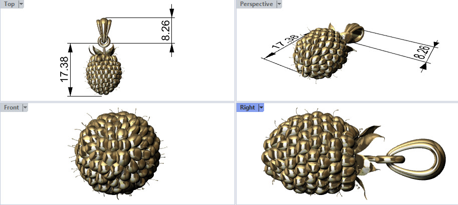 Raspberry Grape Fruit Charm Pendant 3D print model_20