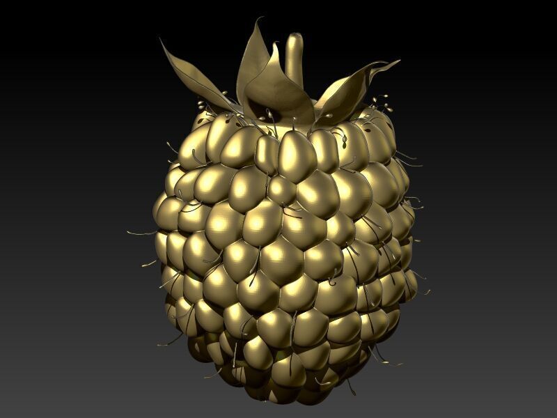 Raspberry Grape Fruit Charm Pendant 3D print model_1