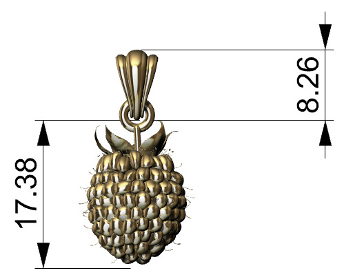 Raspberry Grape Fruit Charm Pendant 3D print model_19