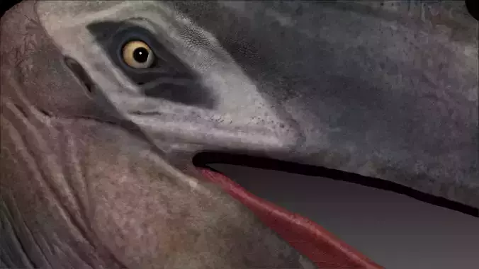 Dinosaur Quetzalcoatlus Giant Pterosaurs Sculpt Project 3D model