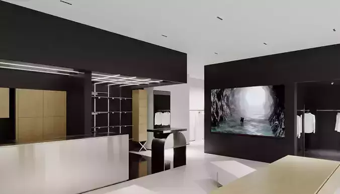 Modern Minimalist Clothing Store Interior Scene 3D model