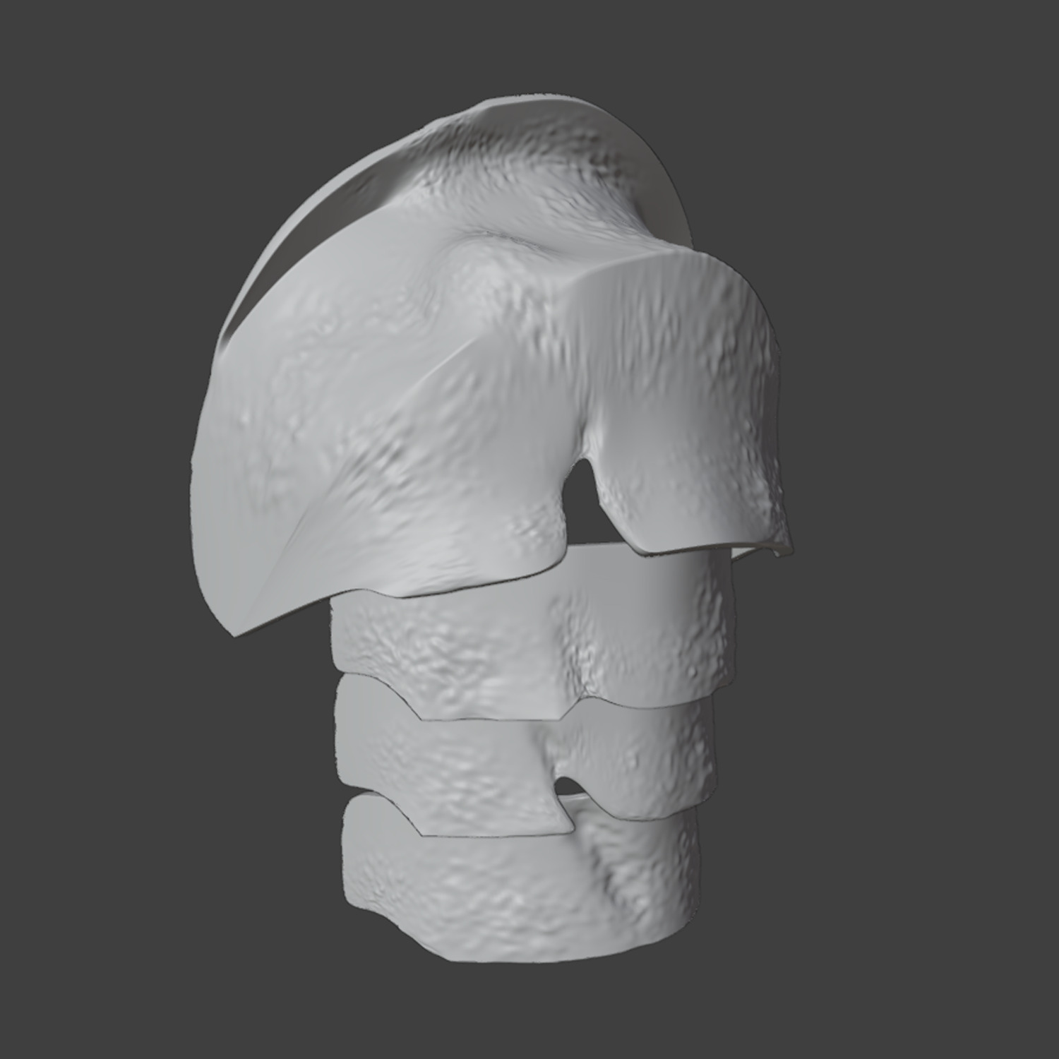 Moss Knight Armor set OC 1-1 3D print model_3