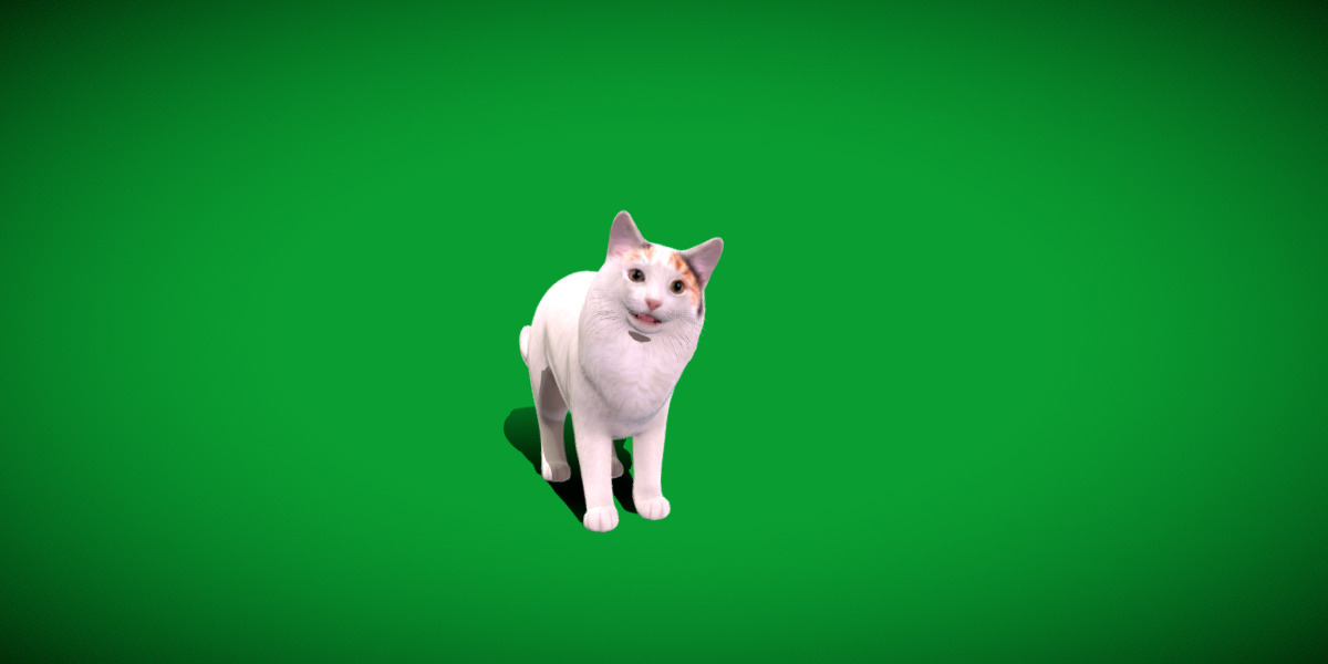 Turkish Van Domestic Cat Low-poly 3D model_48