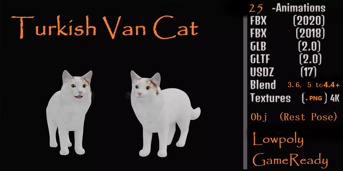 Turkish Van Domestic Cat Low-poly 3D model_0