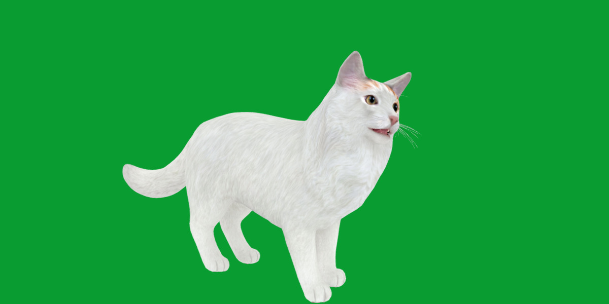 Turkish Van Domestic Cat Low-poly 3D model_31
