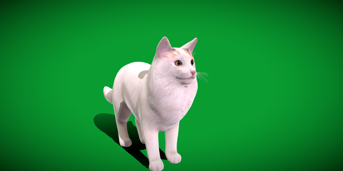 Turkish Van Domestic Cat Low-poly 3D model_46
