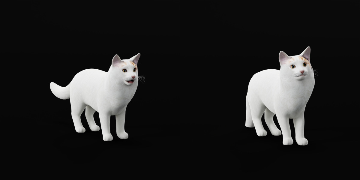 Turkish Van Domestic Cat Low-poly 3D model_39