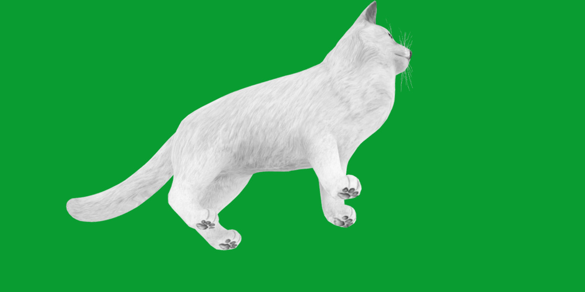 Turkish Van Domestic Cat Low-poly 3D model_24