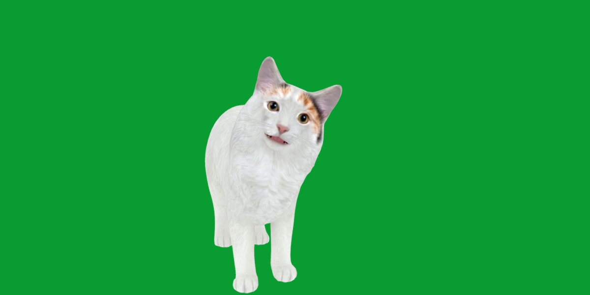 Turkish Van Domestic Cat Low-poly 3D model_40