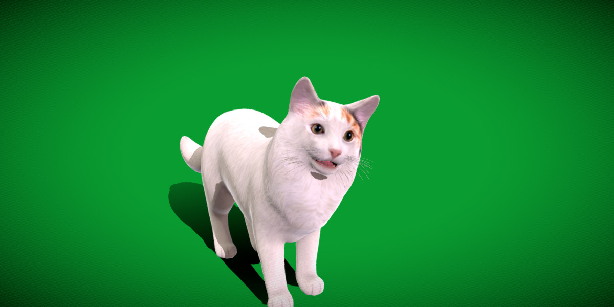 Turkish Van Domestic Cat Low-poly 3D model_45