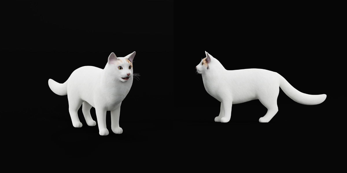 Turkish Van Domestic Cat Low-poly 3D model_47