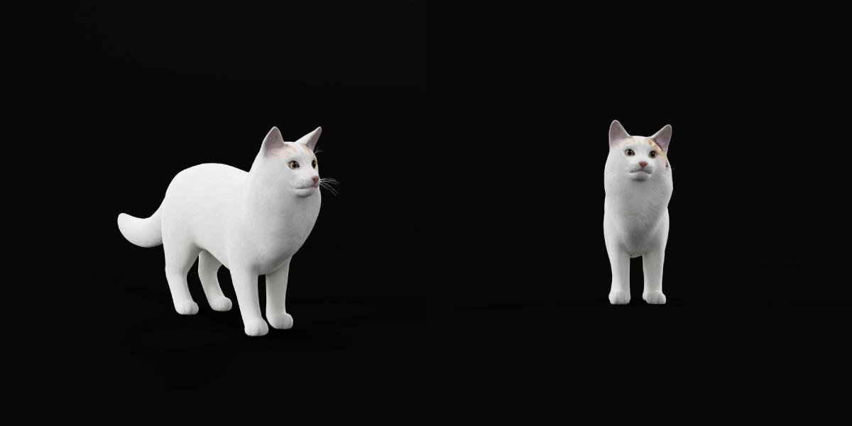 Turkish Van Domestic Cat Low-poly 3D model_42