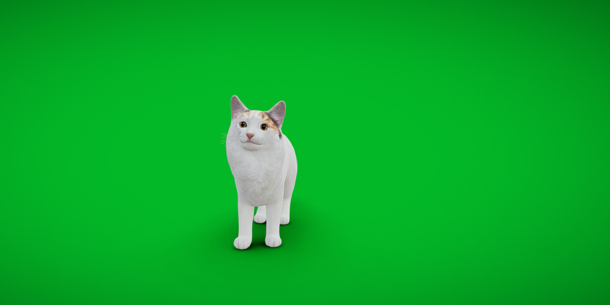 Turkish Van Domestic Cat Low-poly 3D model_4