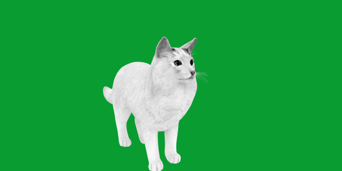Turkish Van Domestic Cat Low-poly 3D model_23