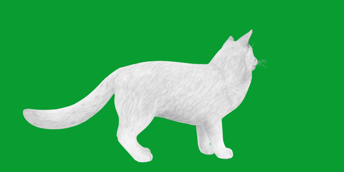 Turkish Van Domestic Cat Low-poly 3D model_26