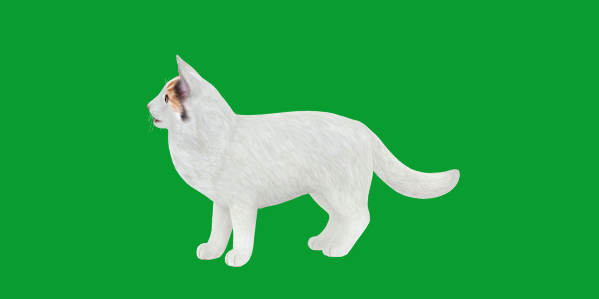 Turkish Van Domestic Cat Low-poly 3D model_41