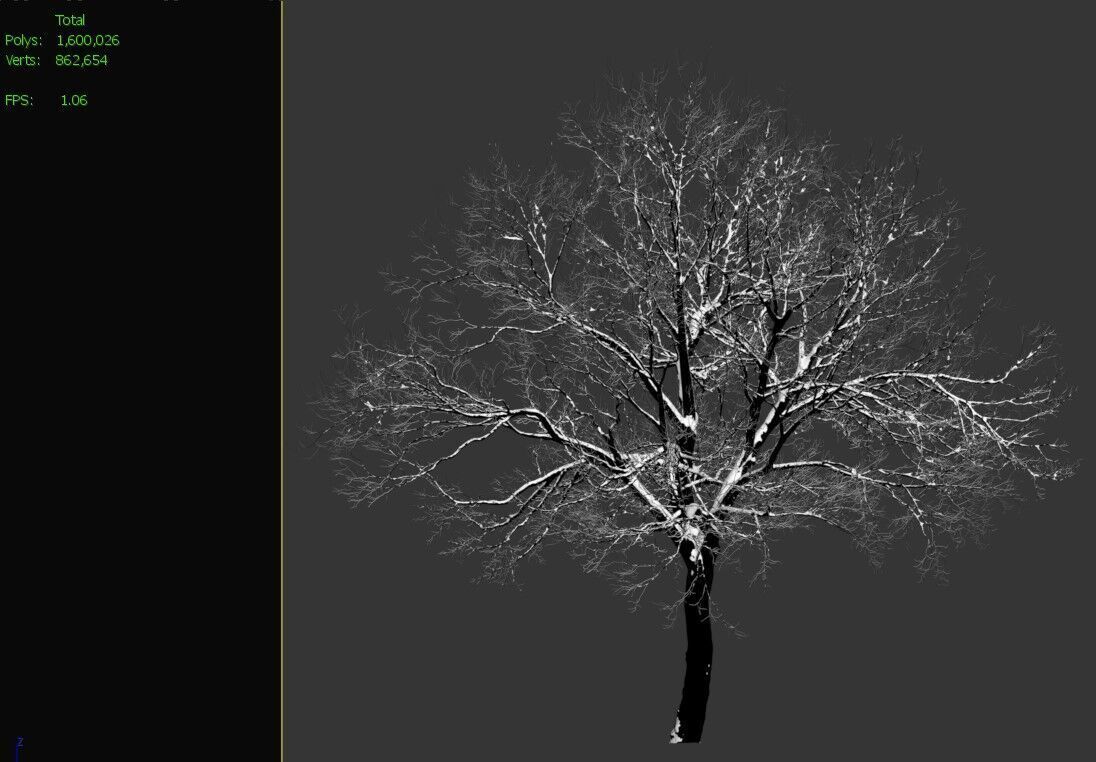 Winter old oak 02 3D model_5