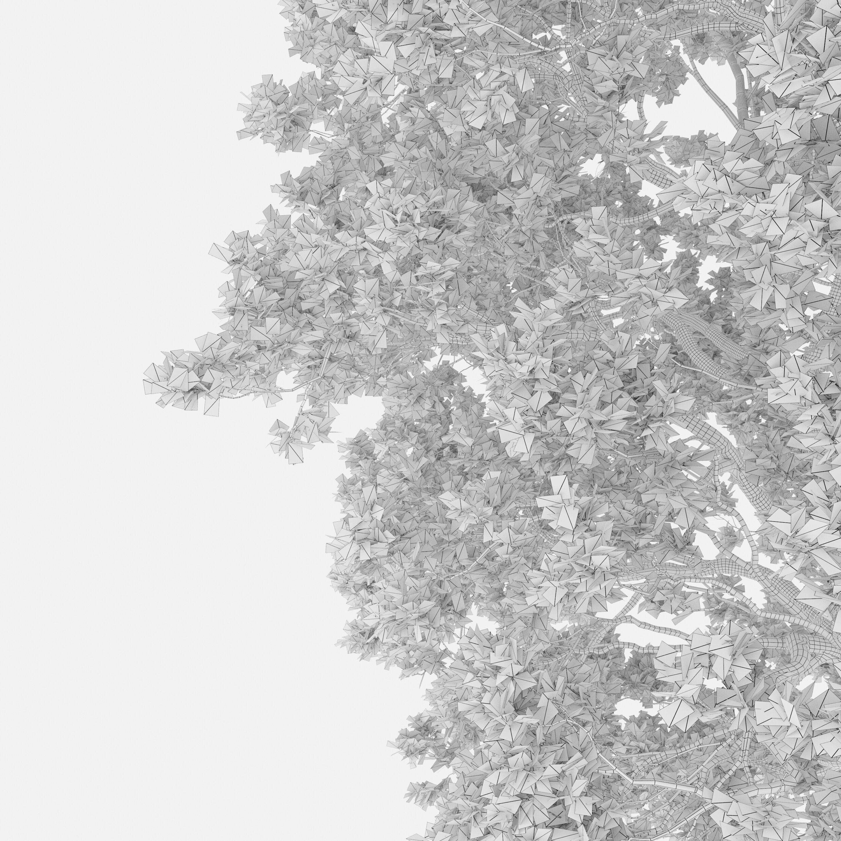 Oak tree 09 3D model_6