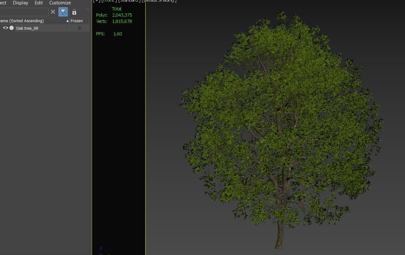 Oak tree 09 3D model_7
