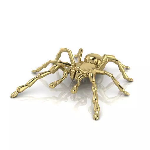 Spider N012993 3D print model_0