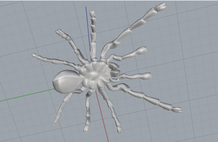 Spider N012993 3D print model_6