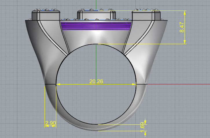 Ring Horseshoe N012985 3D print model_7