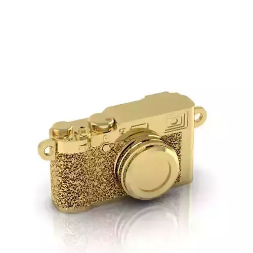 Digital camera N012982